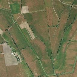 Zapotlán del Rey map(satellite map)