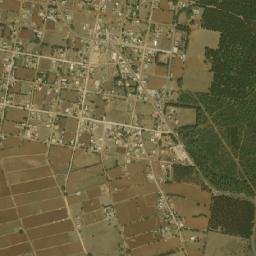Palo Bendito map(satellite map)