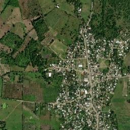 Calichar Palma Sola map(satellite map)