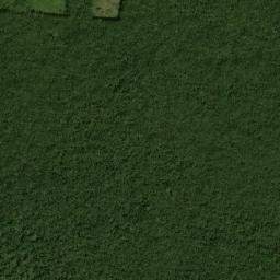 Tixcacalcupul map(satellite map)