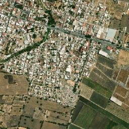 San Martín de Hidalgo map(satellite map)
