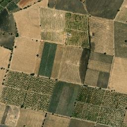 Los Guerrero map(satellite map)