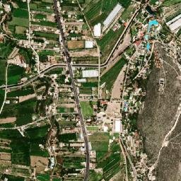 Maguey Blanco map(satellite map)