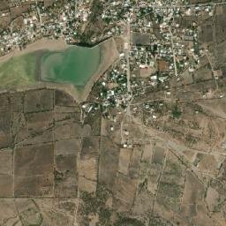 El Coto map(satellite map)