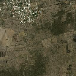 Hacienda de la Bolsa map(satellite map)