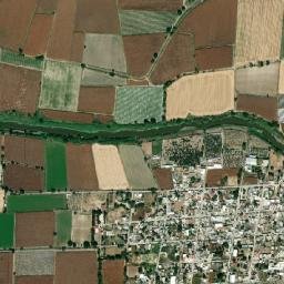 Los Pilares map(satellite map)