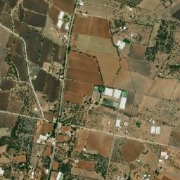 Los Sabinos map(satellite map)