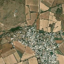 Las Cañas map(satellite map)