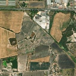 La Barca map(satellite map)