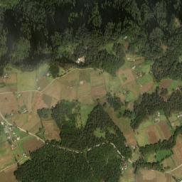 Honey map(satellite map)