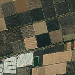Briseñas map(satellite map)