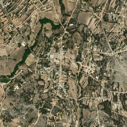 Pino Suárez map(satellite map)