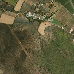 El Briseño map(satellite map)