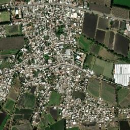 San Pedro de los Naranjos map(satellite map)