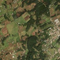 Zacacuautla map(satellite map)