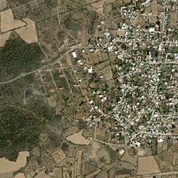 Janambo map(satellite map)
