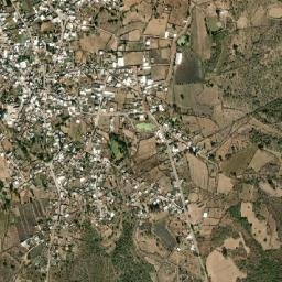 Las Ranas map(satellite map)