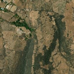 Tamazulita Jalisco map(satellite map)