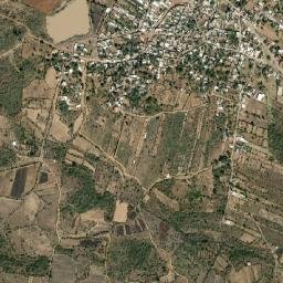 Tejocote de Calera map(satellite map)