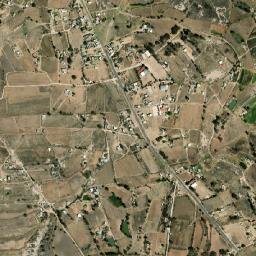 El Mogote map(satellite map)