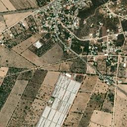 Vicente Guerrero map(satellite map)
