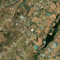 Tepepa map(satellite map)