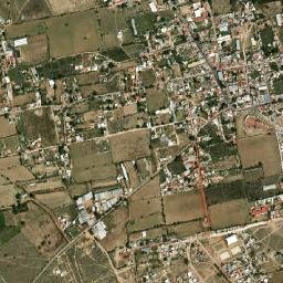 Jaltepec map(satellite map)