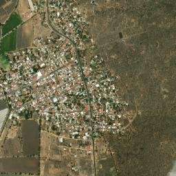 La Sauceda map(satellite map)