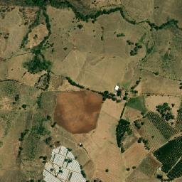 Chiquilistlán Jalisco map(satellite map)