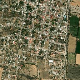 Techaluta de Montenegro map(satellite map)