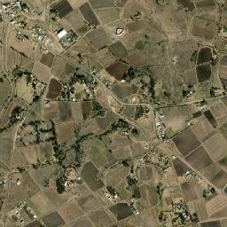 San Martín Ejido map(satellite map)
