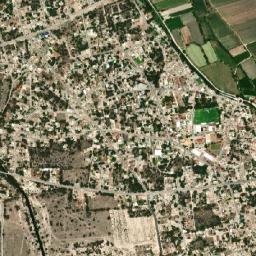 Cardonal map(satellite map)