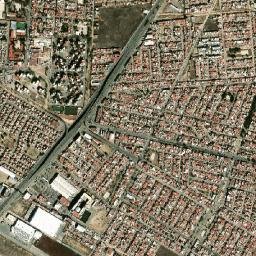 Tulipanes map(satellite map)