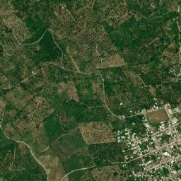 San Pedro Tlapacoyan map(satellite map)