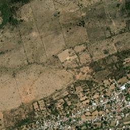 Piñícuaro map(satellite map)