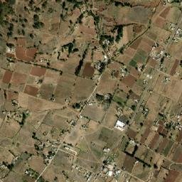 San Vicente (Calpulalpan Tercera Manzana) map(satellite map)