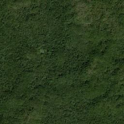 Tekax map(satellite map)