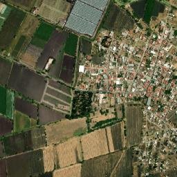 Francisco Sarabia (Cerrito Pelón) map(satellite map)