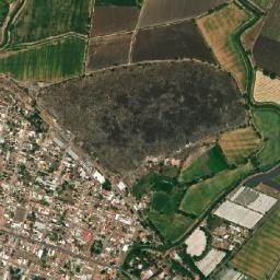 Ario de Rayón map(satellite map)
