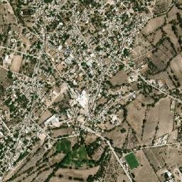 Coyotillos map(satellite map)