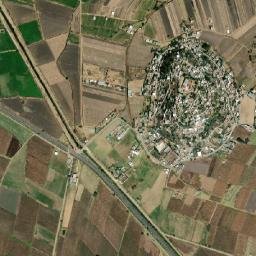 Cerritos de Cárdenas map(satellite map)