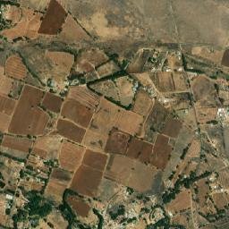 El Magueyal map(satellite map)