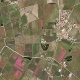 El Palmito map(satellite map)