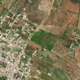 Santo Tomas map(satellite map)