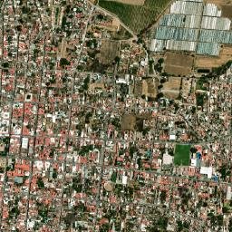 Sayula map(satellite map)