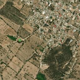 Santiago Tepeyahualco map(satellite map)
