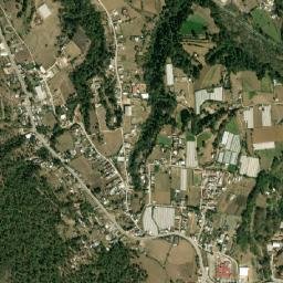 Zoyatitla map(satellite map)