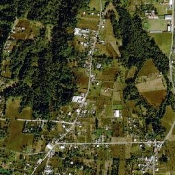 Tanhuixco map(satellite map)