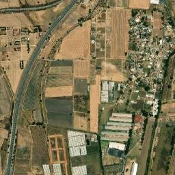 Ejido Uno de Febrero map(satellite map)