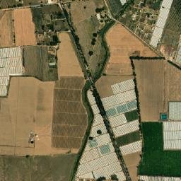 Gómez Farías Municipality map(satellite map)